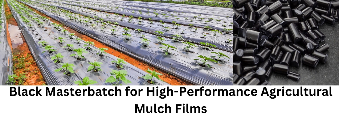 Black Masterbatch for High-Performance Agricultural Mulch Films